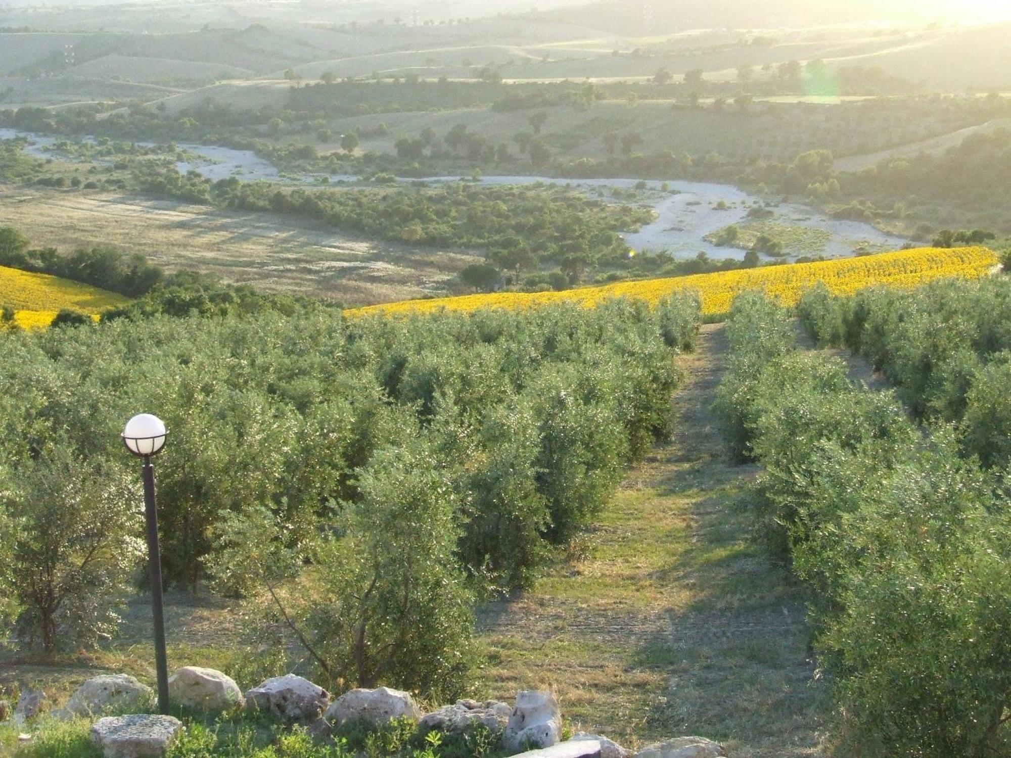 Bio Agriturismo Il Torrione Saturnia Exterior foto